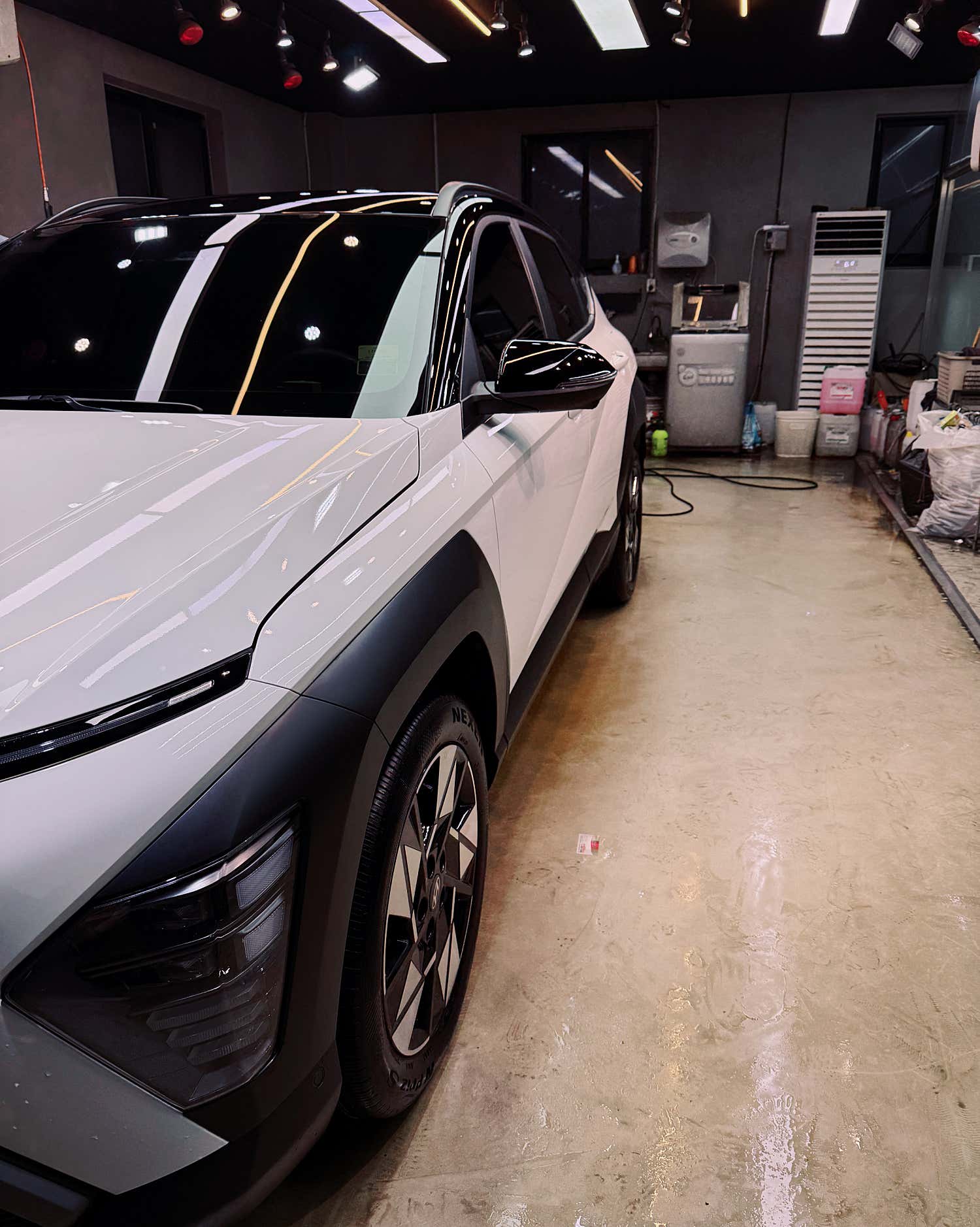 코나 측면 케어